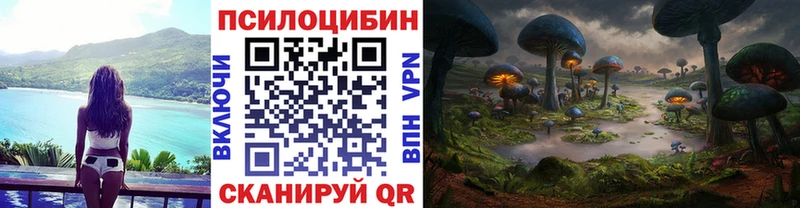 kraken сайт  Берёзовский  Псилоцибиновые грибы прущие грибы 